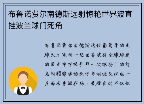 布鲁诺费尔南德斯远射惊艳世界波直挂波兰球门死角 布鲁诺费尔南德斯远射惊艳世界波直挂波兰球门死角